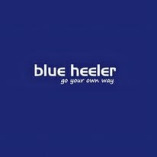 Blue Heeler Shoes